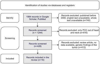 Algorithm of genetic diagnosis for patients with head and neck paraganglioma—update